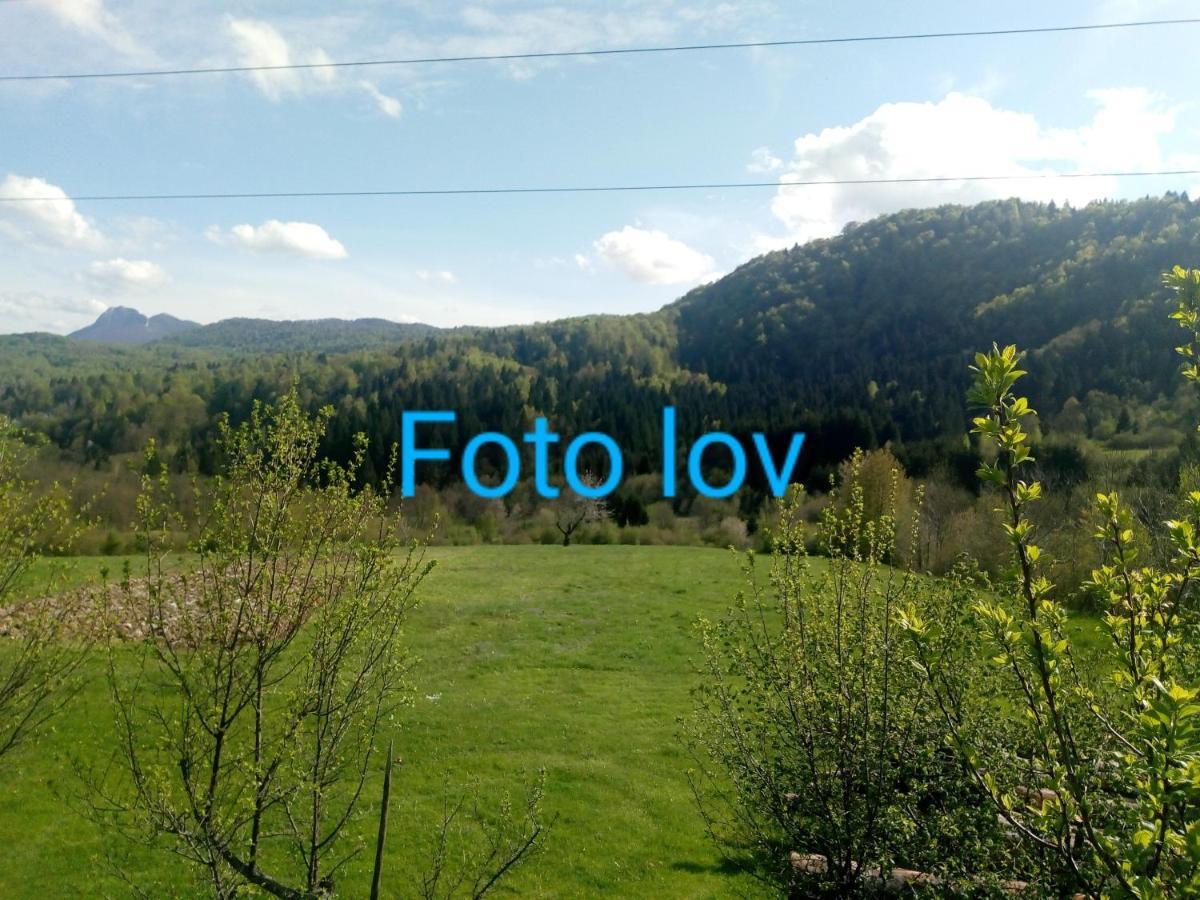 Apartman Gomirje Vrbovsko Kültér fotó