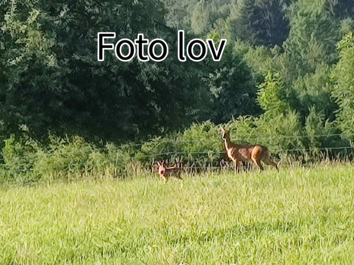 Apartman Gomirje Vrbovsko Kültér fotó