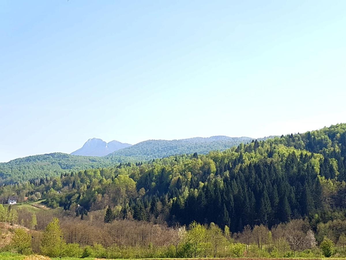 Apartman Gomirje Vrbovsko Kültér fotó